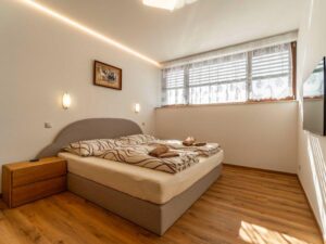 Luxusní dvoulůžkový apartmán s velkou postelí a televizí v penzionu Winifera v Pavlově.