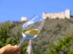 Sklenička s bílým vínem s pozadím zříceniny Děvičky